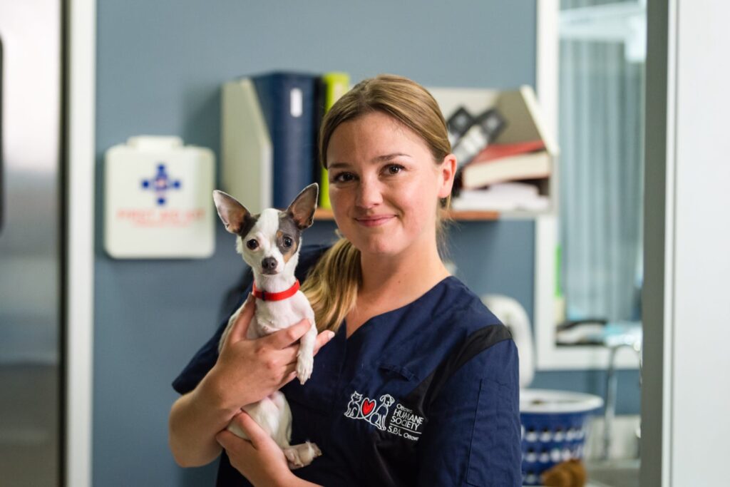 Employee from the Humane Society holding a small dog