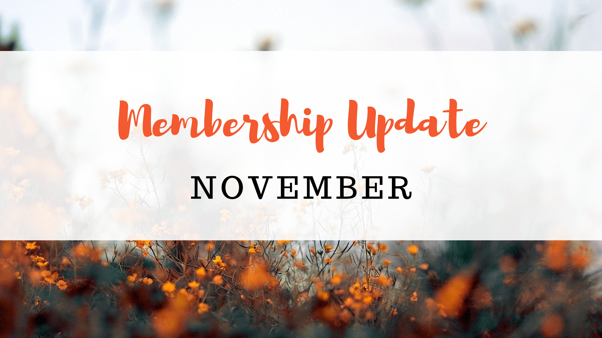 Membership Update: November 2022
